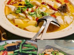-花溪雨·森林餐厅(石基店)
