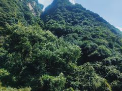 -少华山国家森林公园