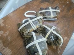 -阳澄湖大闸蟹·琼灵阁牌品牌连锁(吴中总店)