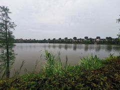 -美的鹭湖森林度假区