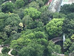 -九龙公园