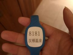 -漢頓温泉度假酒店