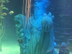 -沈阳海洋探索中心