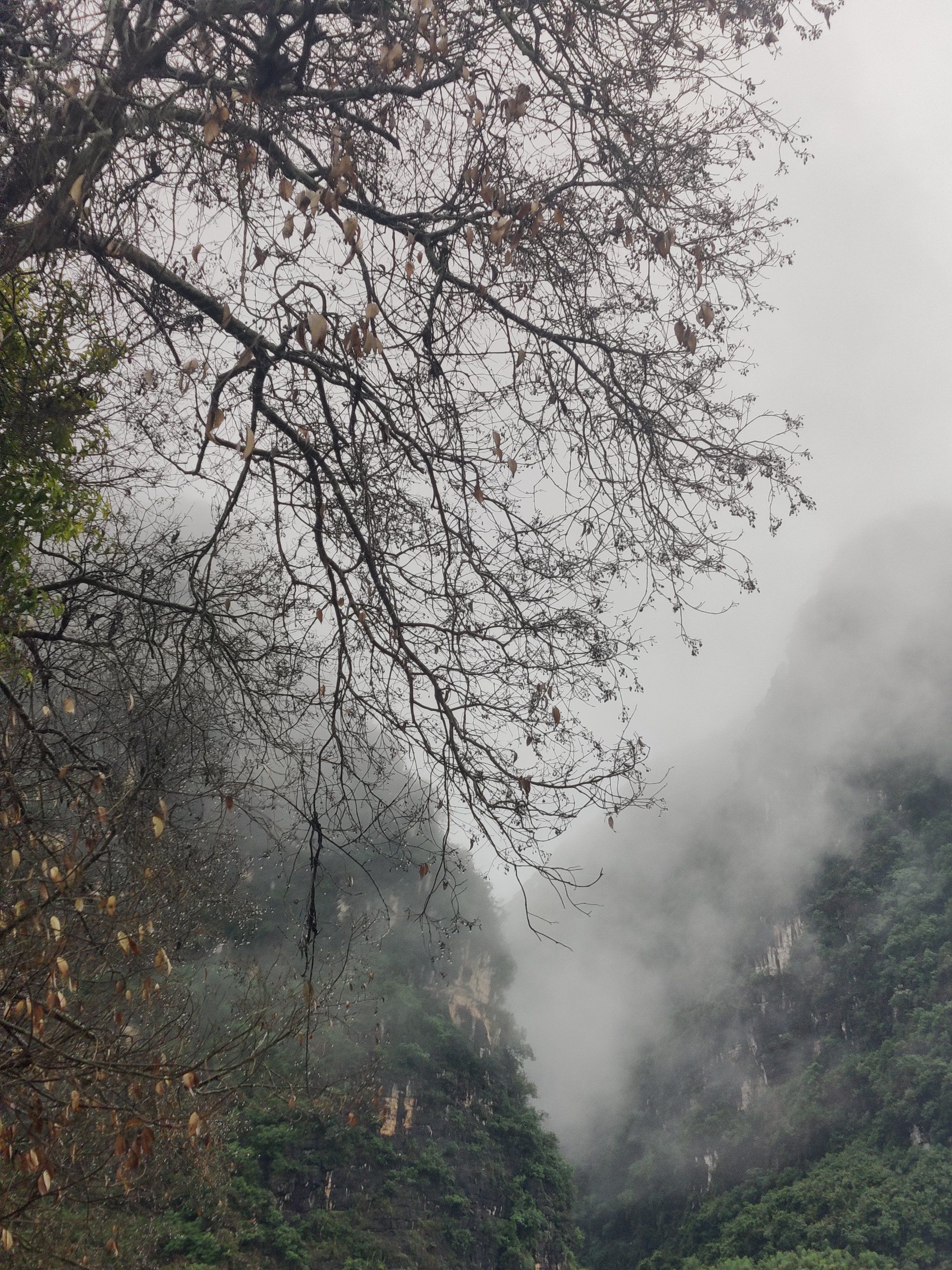 天天领红包 烟雨朦胧的江南山水也别具一番柔美