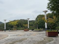 -白马涧龙池景区