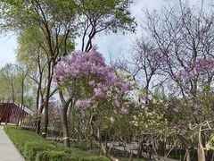 -群力丁香公园