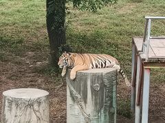 -宿豫区运河湾森林动物园