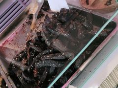 -马占光牛肉干(大召店)