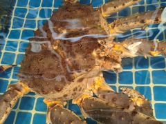 -君霖海鲜私房菜(春柳店)