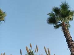 -清真军邺·金富苑肥牛城(海湖新区精品店)