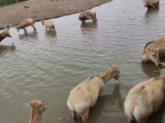 -宁波杭州湾国家湿地公园