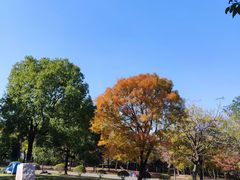 -南京市江宁方山