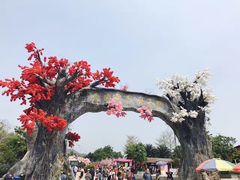 -天适樱花悠乐园
