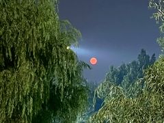 -万柳高尔夫俱乐部