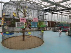 -兴芮温泉度假区