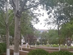 -绿岛公园(滨海新区)