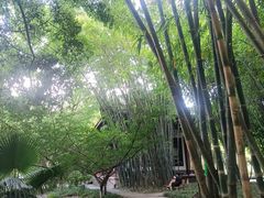 -望江楼公园