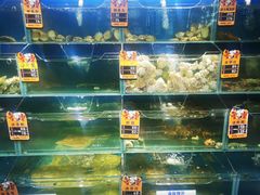水产区-海味当家·蒸锅海鲜(中山广场创始店)