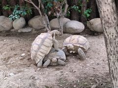 -常州淹城野生动物世界