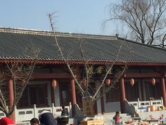 -函谷关历史文化旅游区