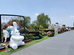 -荷兰花海