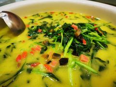 上汤鸡毛菜-粗茶淡饭•陕菜•家常菜