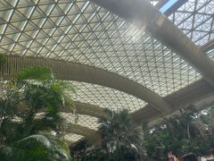 -杭州开元森泊度假乐园