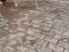 -九寨沟石锅鱼(沣峪口二十年店)
