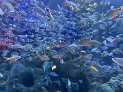 -成都浩海立方海洋公园