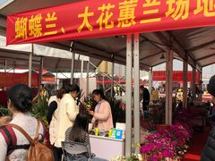 -南宁国际会展中心(会展东博文化旅游区)