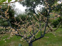 -威海华夏城景区