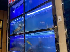 水产区-爱妻鱼•老体北重庆水煮鱼•川菜(白云路店)