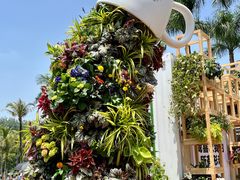 -深圳仙湖植物园