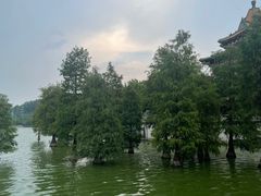 -顺峰山公园