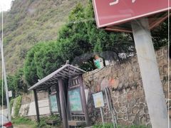-白河湾生态旅游一条川