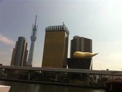 -大阪市立自然史博物馆