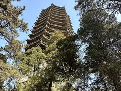-博雅塔