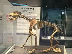 -北京周口店北京人遗址博物馆