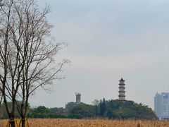 -江心屿景区