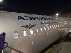 -谢列梅捷沃国际机场