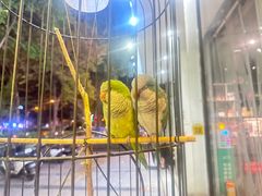 -丝路疆味新疆喀什餐厅(保利广场对面金地太阳城店)