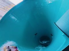 -温都水城·水梦奇缘