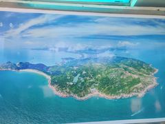 -广东惠东海龟国家级自然保护区