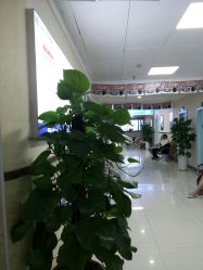 -成都军建医院·疤痕诊疗中心