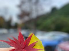 -径山寺