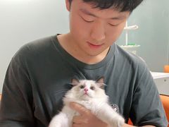 -lincat·猫舍(广州店)