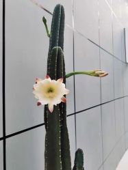 -无界瑜伽普拉提