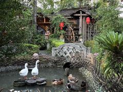 -青城甲(青城山店)