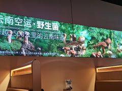 -野·大山里土鸡火锅(万科里店)