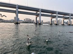 -星海广场